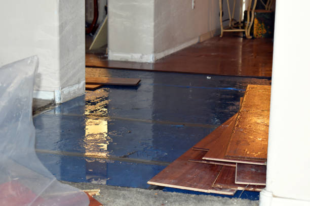 Professional Basement Flood Cleanup technician working in Hecker, IL